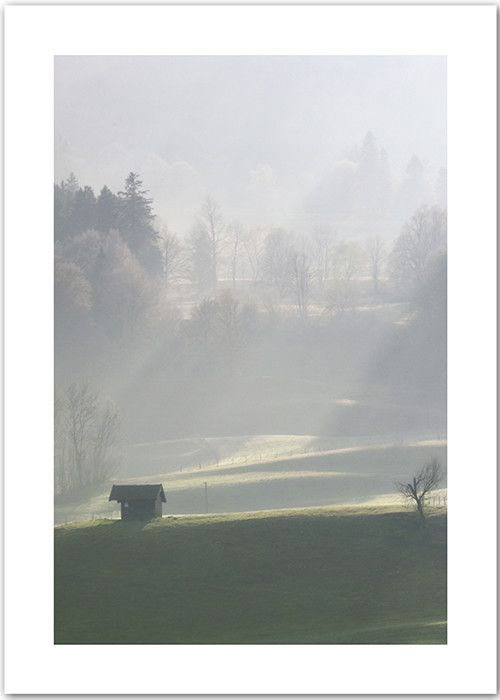 Natur-Poster mi einem grünen Hügellandschaft im Nebel