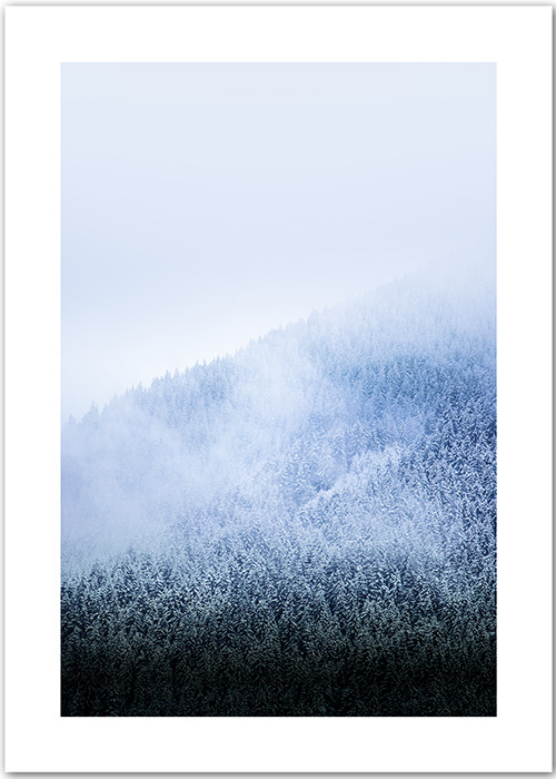 Poster mit einem Wald und vereisten Baumwipfeln im Winter