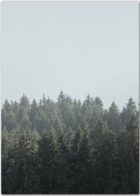 Wald-Poster mit grünen Baumwipfeln vor einem blauen Himmel