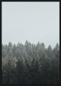 Wald-Poster, gerahmt, mit grünen Baumwipfeln vor einem blauen Himmel