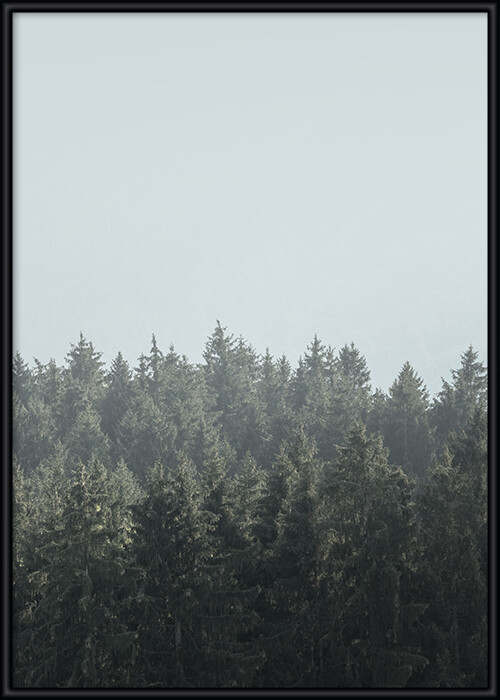 Wald-Poster, gerahmt, mit grünen Baumwipfeln vor einem blauen Himmel