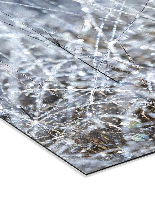 Winterliches Alubild mit kristallisierten Wassertropfen an Gräsern.