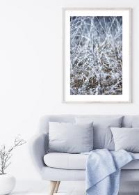 Inspiration– Poster mit gefrorenem Gras in eisblau über einem grauen Sofa