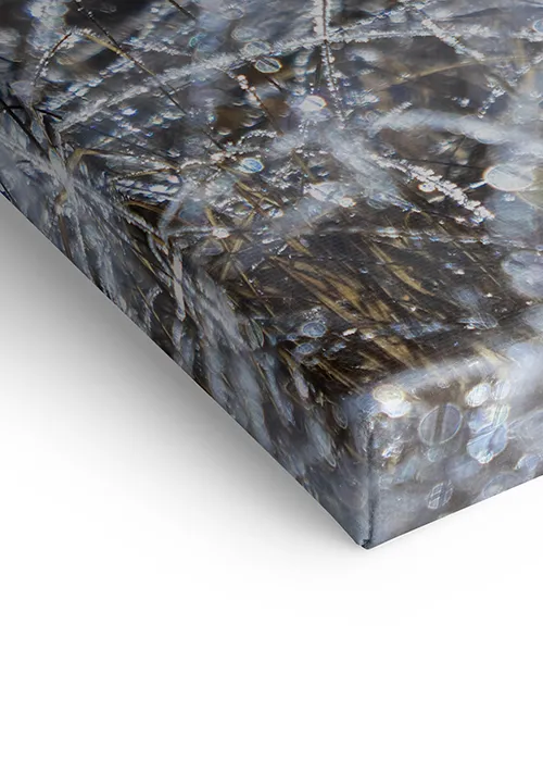 Winterliches Leinwandbild, Eiche Rahmen, mit kristallisierten Wassertropfen an Gräsern.