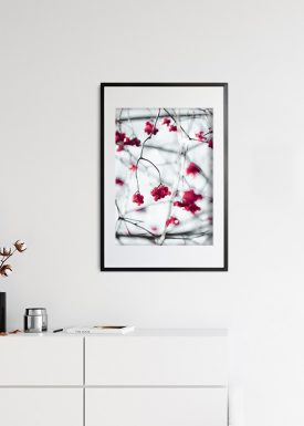 Winterliche Beeren am Baum | Poster