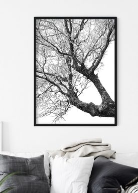 Winterbaum Schwarz-Weiß | Poster