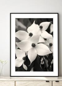 Inspiration - Blumen-Poster mit weißem Hartriegel