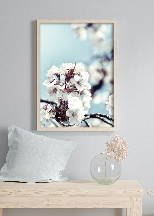 Inspiration – Poster mit einer Kirschblüte im Großformat