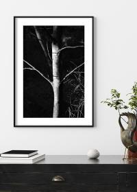 Inspiration – Wandbild, schwarz-weiss mit Baum über einem Sideboard