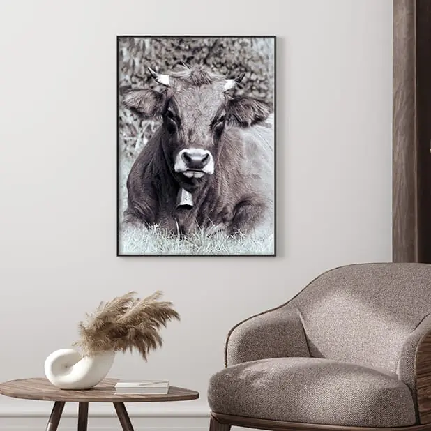 Ein schönes Kuh-Poster mit einem echten Murnau-Werdenfelser Rind für dein Zuhause!