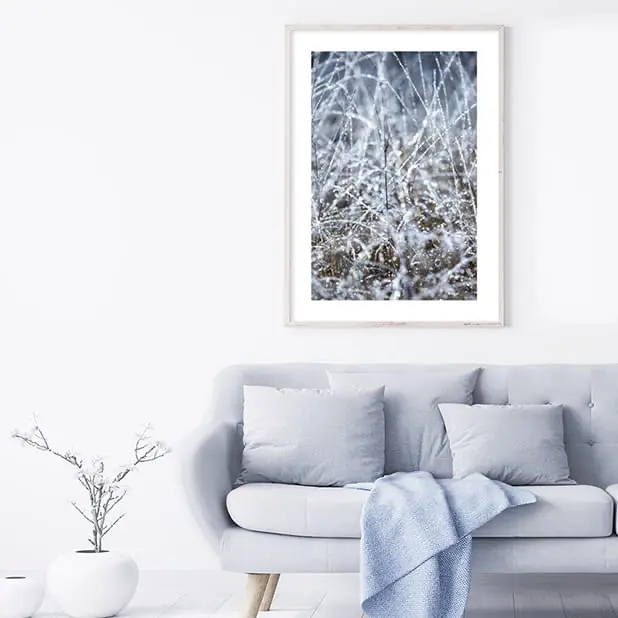 Ein Poster mit gefrorenen Tautropfen an winterlichen Grashalmen.