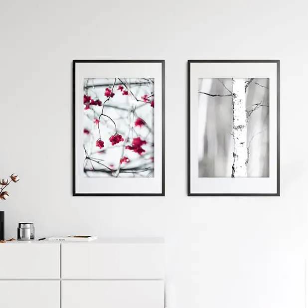 Ein Poster mit roten Beeren im Winter und ein Poster mit einem weißen Birkenstamm in Großaufnahme.