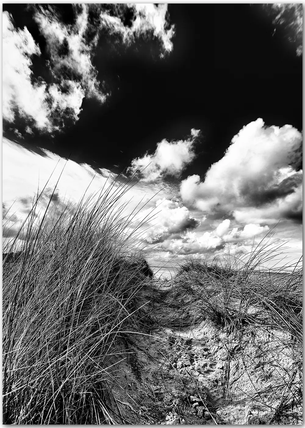 Strandposter mit Düne in schwarz-weiß