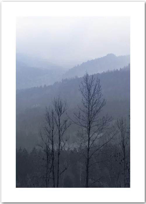 Poster mit Silhouette von Bäumen vor einem Bergwald in grau-blauer Farbstimmung