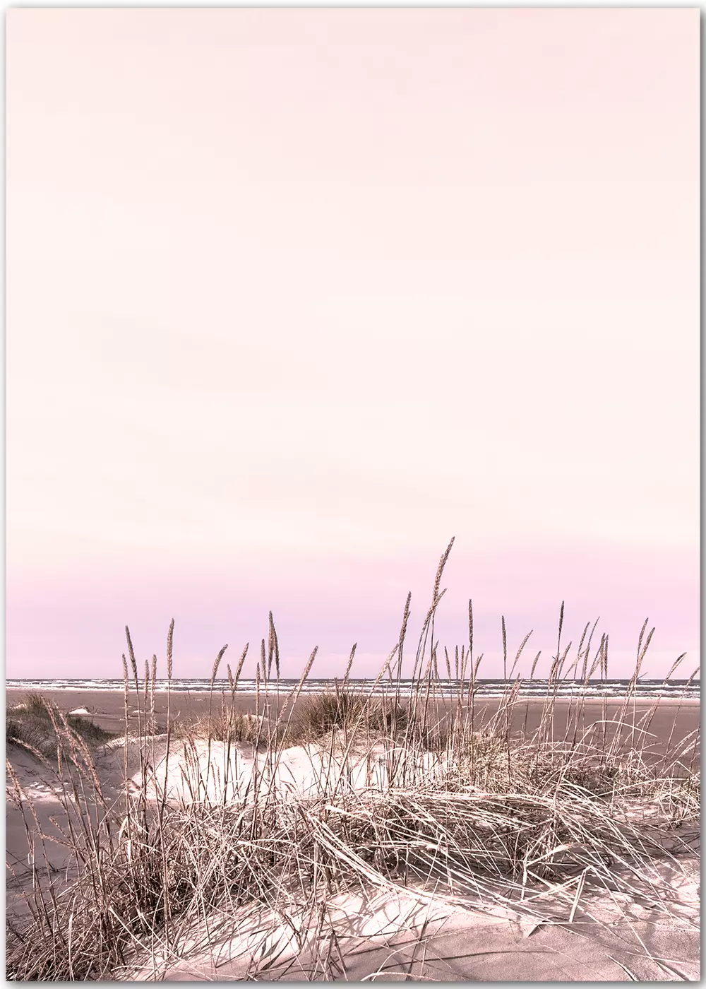 Poster mit Blick durch Dünengras in mittsommerlicher Stimmung Poster mit Blick durch Dünengras in mittsommerlicher Stimmung