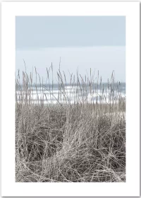 Poster mit Blick durch Dünengras auf das Meer im Hintergrund