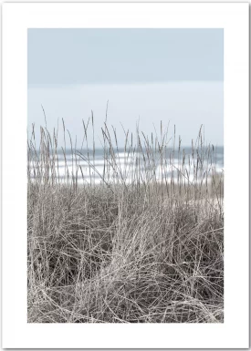 Strandhafer am Meer | Poster