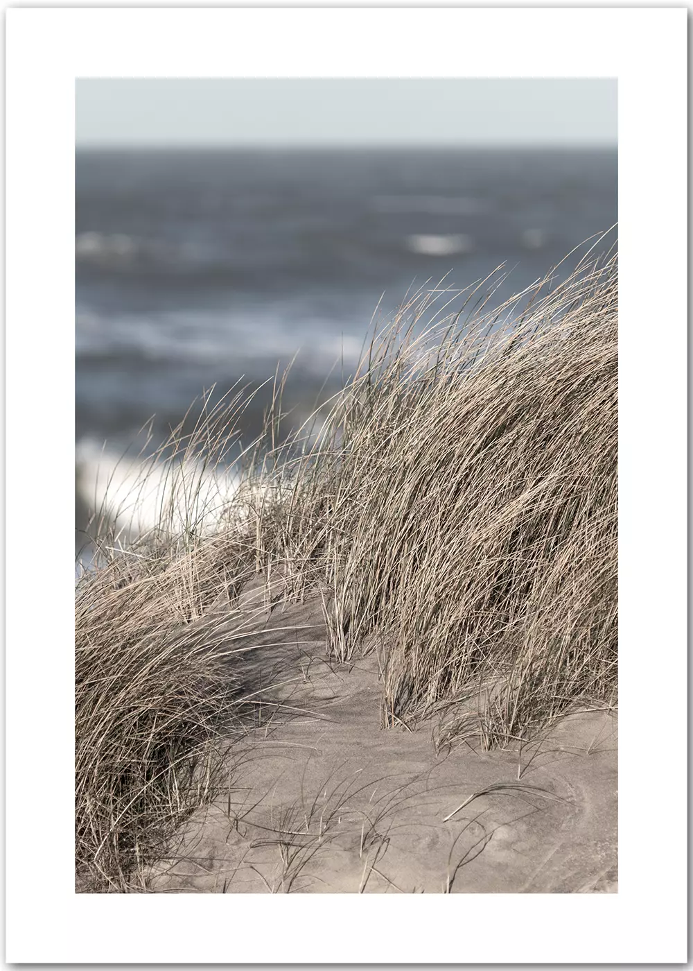 Poster mit dem Blick von einer Düne auf das Meer