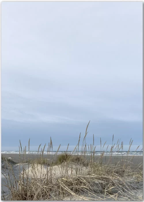 Strandposter mit Dünengras unter einem weiten Himmel