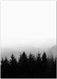 Poster in schwarz-weiß mit einem Wald vor Bergen im Nebel