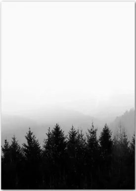 Bergwald | Schwarz-Weiß | Poster