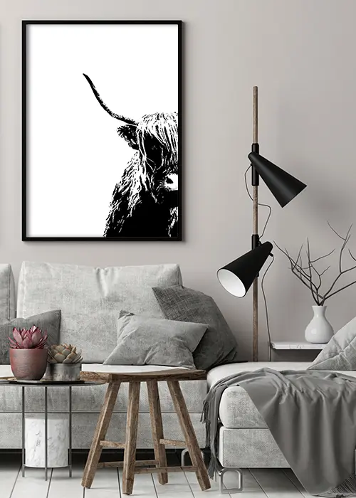 Poster mit leicht angeschnittener Illustration eines Highland Rindes in schwarz-weiß über einem Sofa hängend