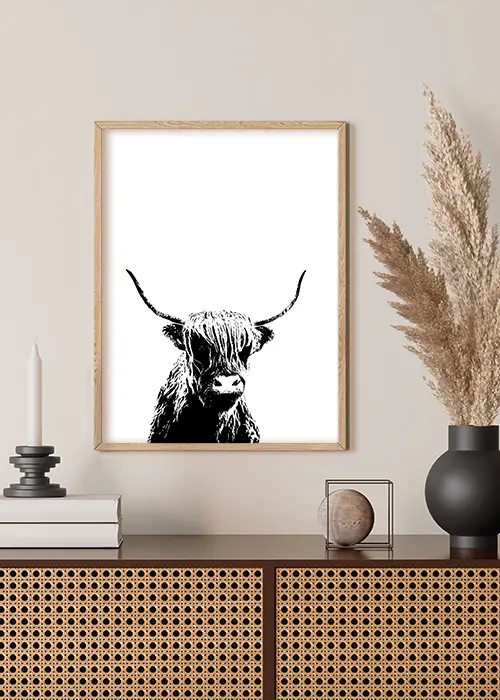 Poster mit einem Highland Rind als Illustration in schwarz-weiß über einer Kommode hängend