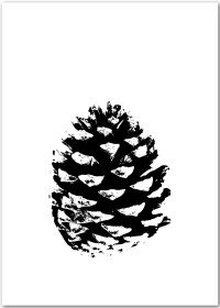 Poster mit Illustration eines Pinienzapfens in schwarz-weiß