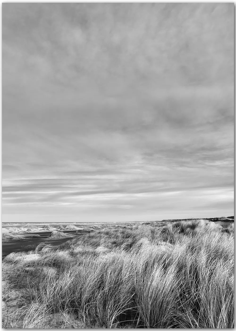 Poster mit Dünengras am Strand in schwarz-weiß