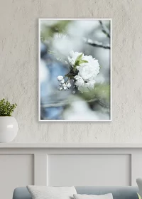 Poster mit einer weißen Apfelblüte zwischen Zweigen am Baum hinter einem Sofa hängend