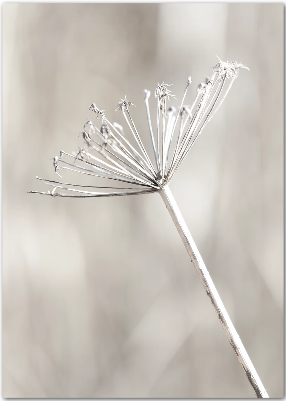Poster mit einer Herbststimmung in beige-weiss