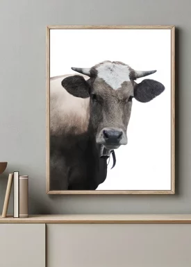Braune Kuh mit Hörnern | Poster