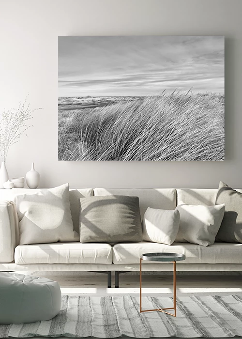 Poster mit Dünengras in schwarz-weiß über einem Sofa hängend