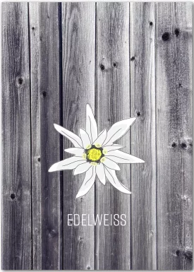 Edelweiss | Poster