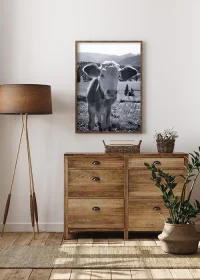 Poster mit Kuh in schwarz-weiß über einer Holzkommode hängend