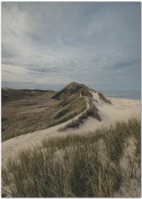 Poster mit Blick über eine Düne und Sandstrand