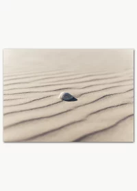 Poster mit einer Muschel im Sand