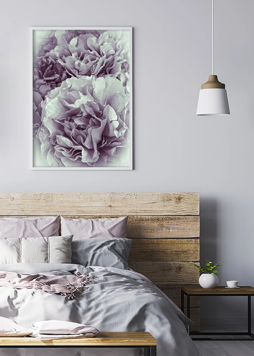 Poster mit einer romantischen Pfingstrose in rosa-weiß über einem Bett hängend