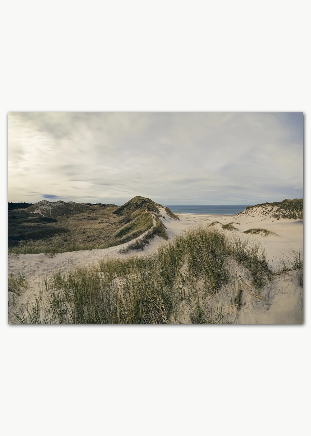 Poster mit einer wunderschönen Dünenlandschaft und dem Meer im Hintergrund