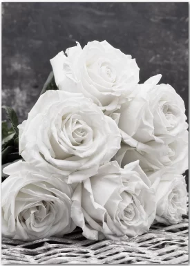 Weiße Rosen | Poster