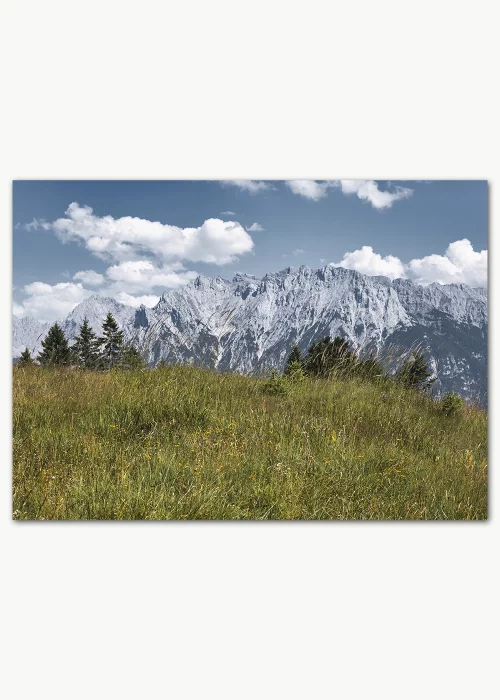 Poster mit Blick über eine grüne Sommerwiese auf die Alpen