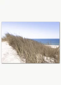 Poster mit Gras in den Sanddünen und dem Meer im Hintergrund