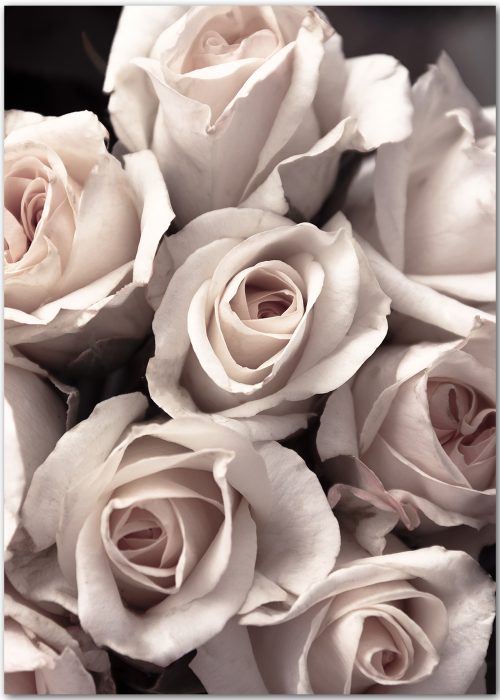 Poster mit einem Bouquet aus rosa Rosen