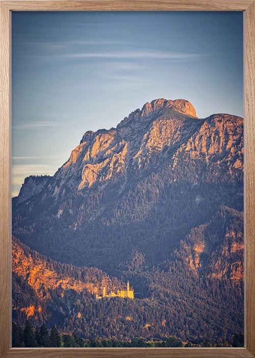 Poster mit Blick auf den Säuling und Schloss Neuschwanstein im Vordergrund mit einem Eiche-Rahmen
