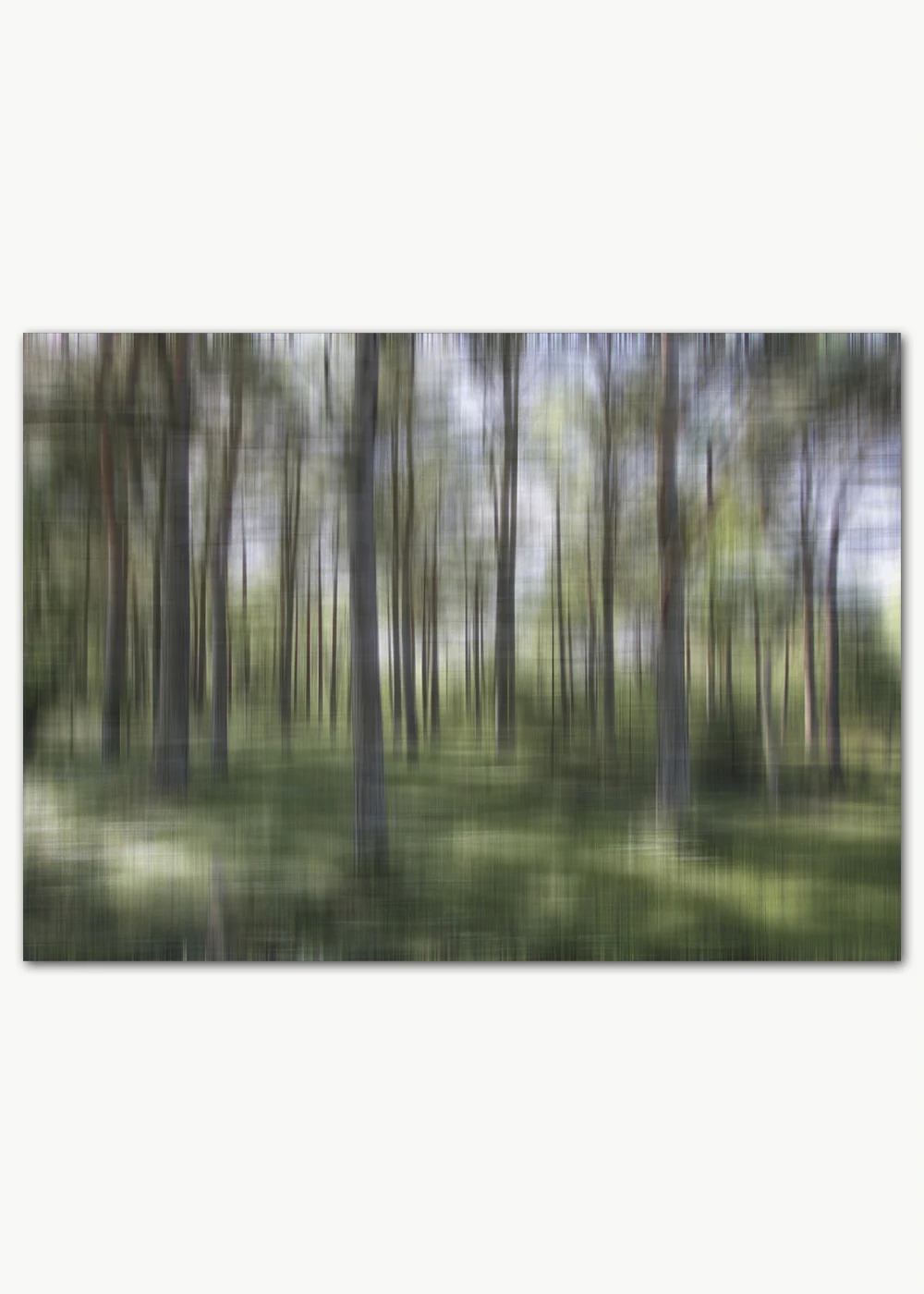 zauberwald-poster-feature