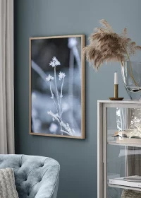 Poster mit gefrorenen Gräserblüten vor einem eisblauen Hintergrund an einer Wohnzimmerwand