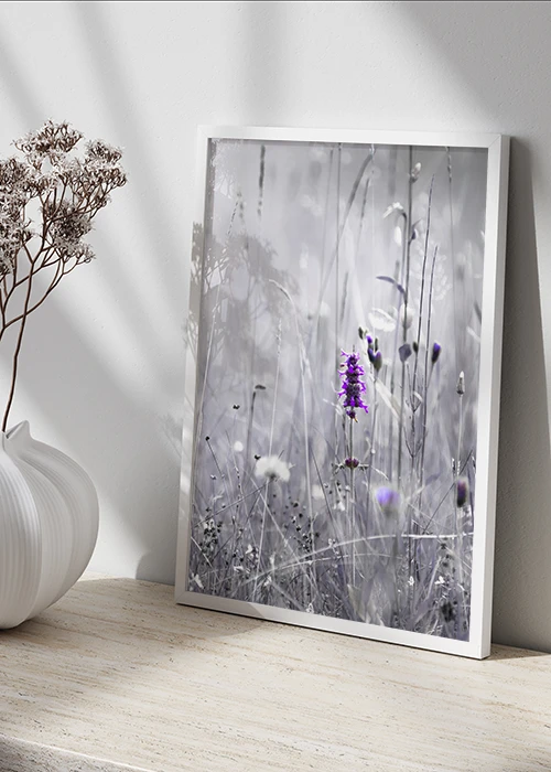 Blumenwiese | Violett | Poster