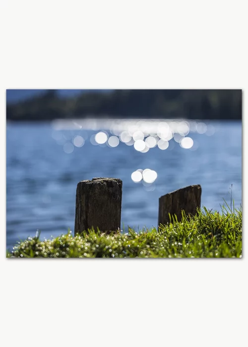 Poster mit Lichtpunkten auf der Wasseroberfläche eines Sees in Nahaufnahme