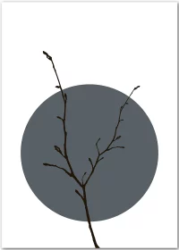 Poster in minimalistischem Japandi-Style mit einem schwarzen Zweig vor einem grauen Kreis