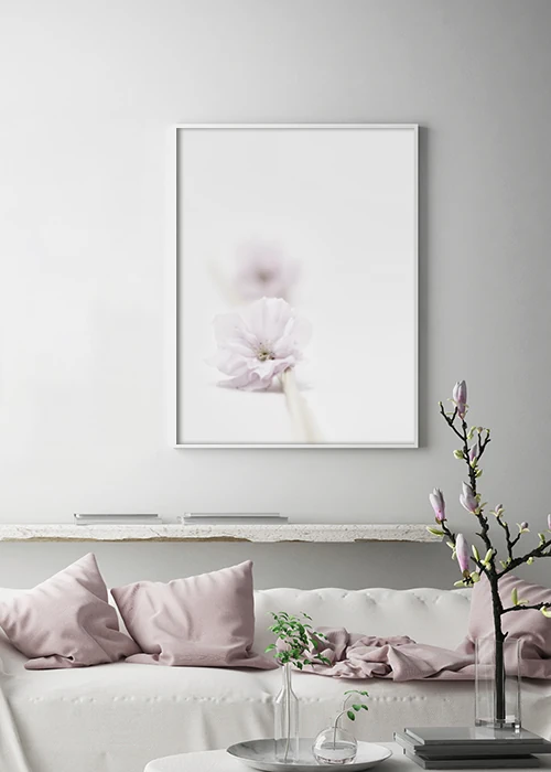 Poster mit einer japanischen Kirschblüte in dezentem Rosa an einer Wohnzimmerwand